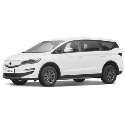Хорошая цена. 2023 Роскошный 4-местный электромобиль Lifan Maple Leaf 80v Взрослый энергетический автомобиль 139L Объем багажного отсека онлайн